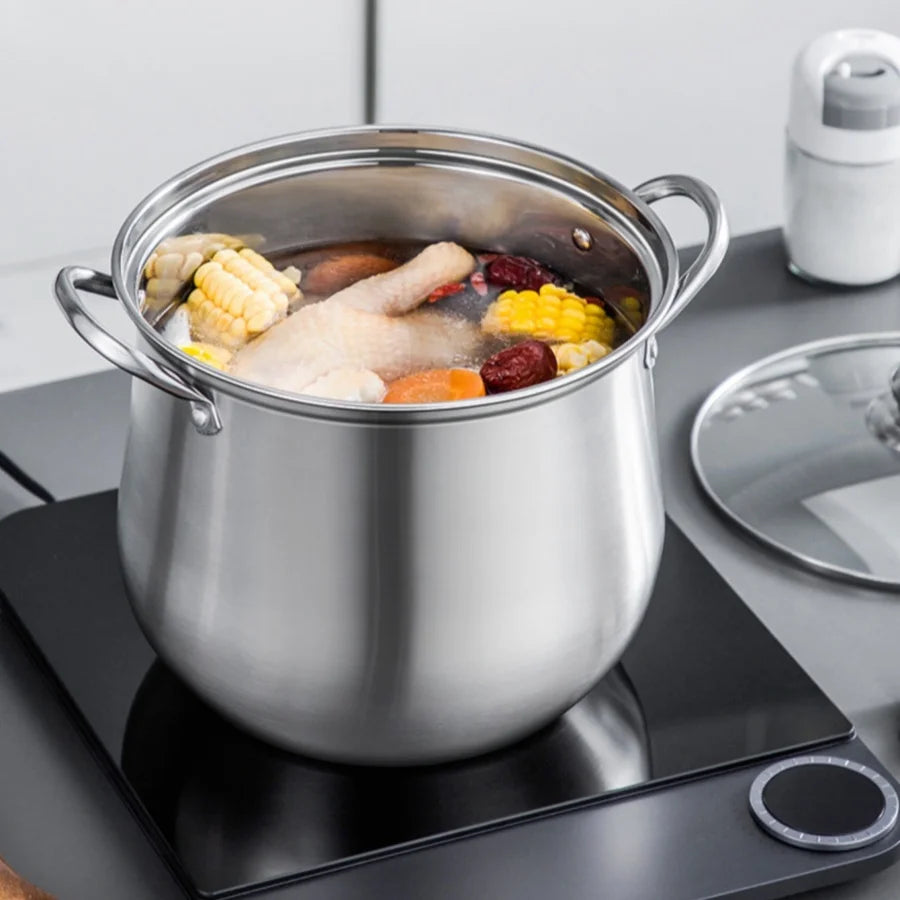 Stainless Steel Stock Pot