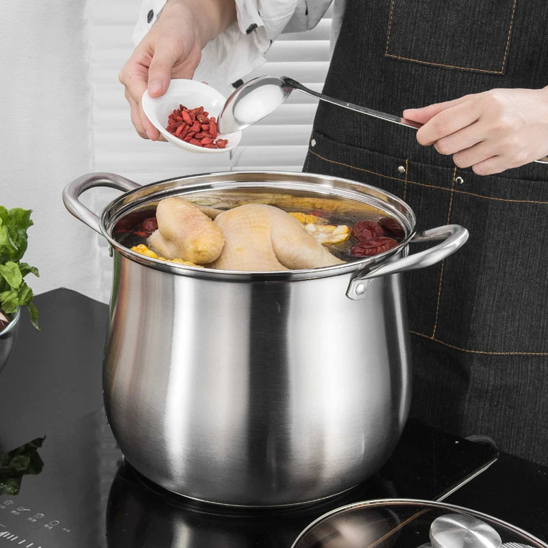 Stainless Steel Stock Pot