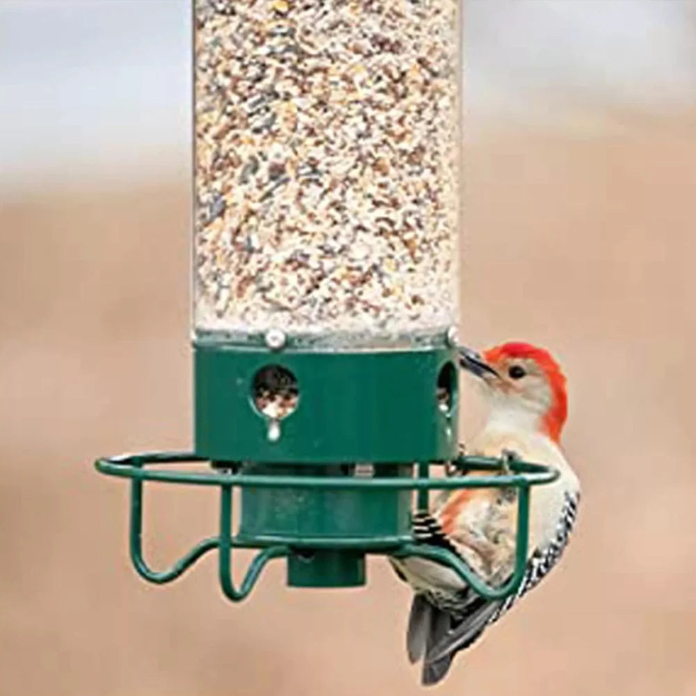 Squirrel Proof Bird Feeder