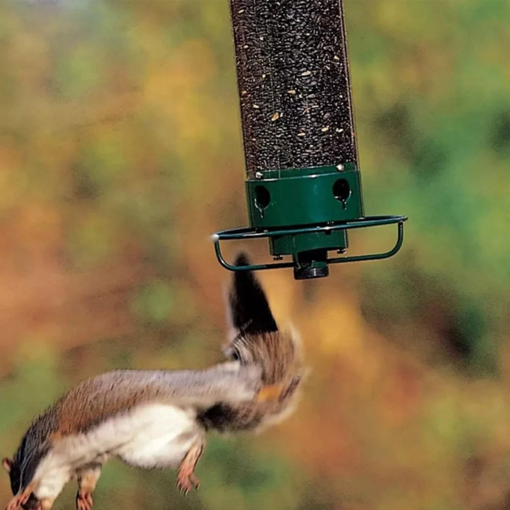 Squirrel Proof Bird Feeder